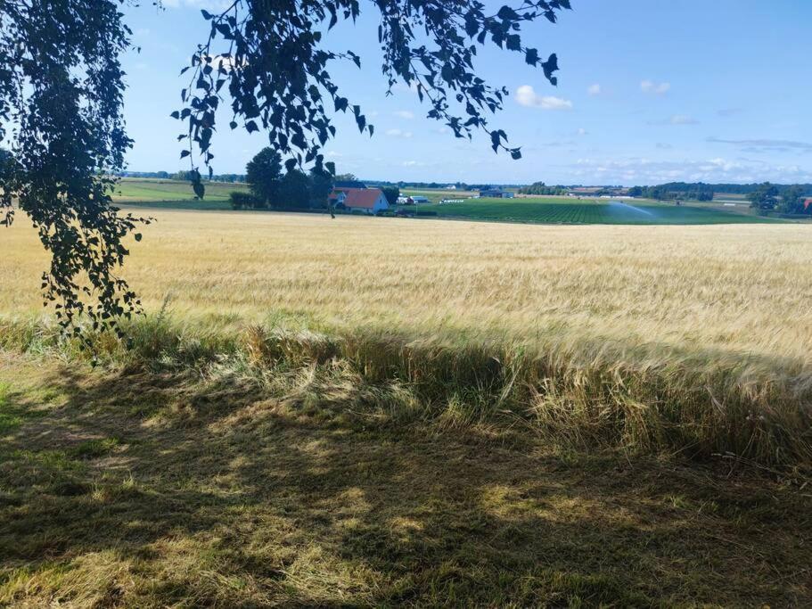 Villa Gaesthus Pa Oesterlen Med Naerhet Till Strand & Golf Ystad Exterior foto